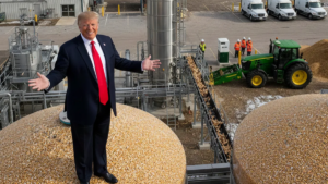 Donald Trump impulsaría una reserva estratégica de minerales críticos por u$s12.000 millones