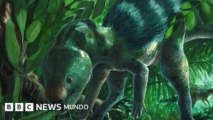 El dinosaurio del tamaño de un pollo que puede arrojar luz sobre la evolución de los ejemplares más grandes