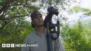 El joven uruguayo que busca al misterioso urutaú, el pájaro con camuflaje que es único en Sudamérica