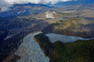 Expertos confirman un desplazamiento hacia el norte de la cobertura arbórea boreal