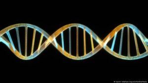 Google crea IA para leer la «gramática de la vida»