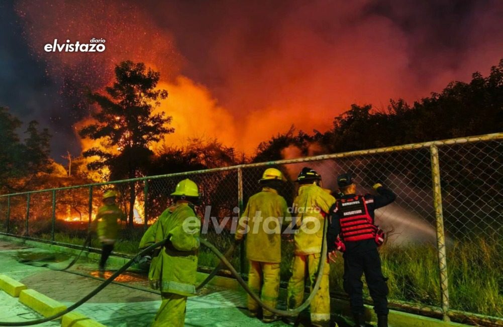 Incendio de vegetación en parque de Guanta requirió la actuación de cinco Cuerpos de Bomberos y 180.000 litros de agua
