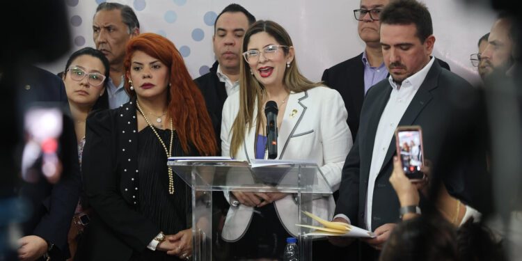 Comisión de la AN ley de amnistía
