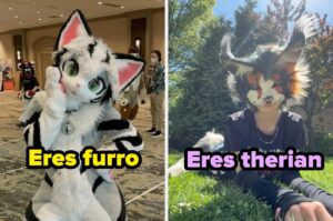 La diferencia entre therian y furro: ¿cuál eres tú?