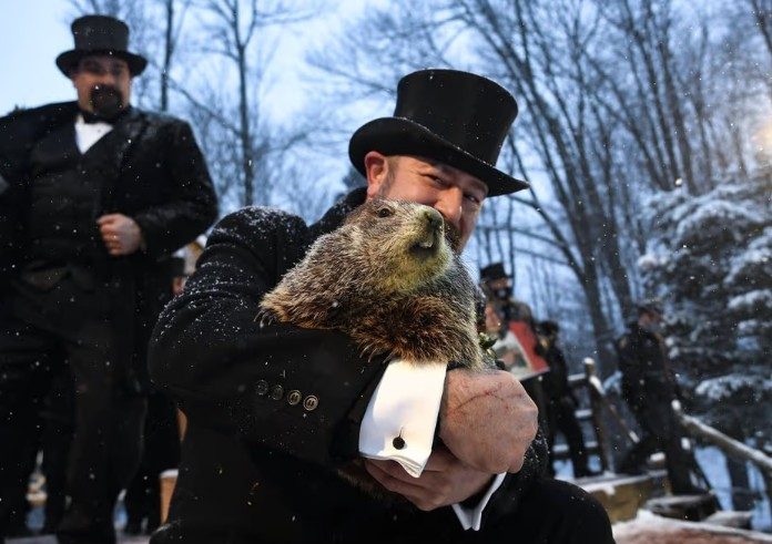 La marmota Phil vaticina seis semanas más de invierno en EEUU al ver su sombra