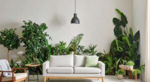 Muchas personas tienen plantas de interior en sus casas, pero una nueva evidencia muestra que pueden transformar silenciosamente la salud