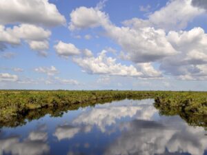 Parque Nacional Santos Luzardo es refugio de diversidad biológica