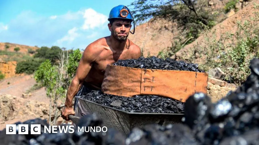 Qué otras riquezas naturales tiene Venezuela además del petróleo y cuáles son "críticas" para EE.UU.