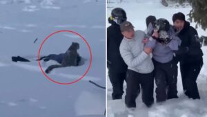 Revelaron la selfie que se sacó la esquiadora antes de ser atacada por un leopardo de las nieves