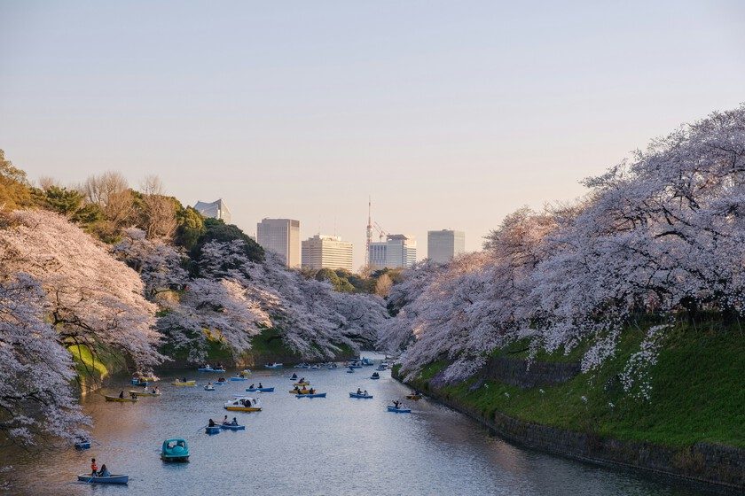 Tokio es una de las pocas ciudades del mundo que ha conseguido mantener los precios de la vivienda. Su secreto: construir