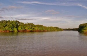 Turismo Apure ofrece ruta fluvial “Ríos de Vida” para conectar con la naturaleza