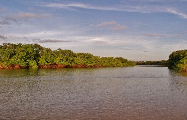Turismo Apure ofrece ruta fluvial “Ríos de Vida” para conectar con la naturaleza