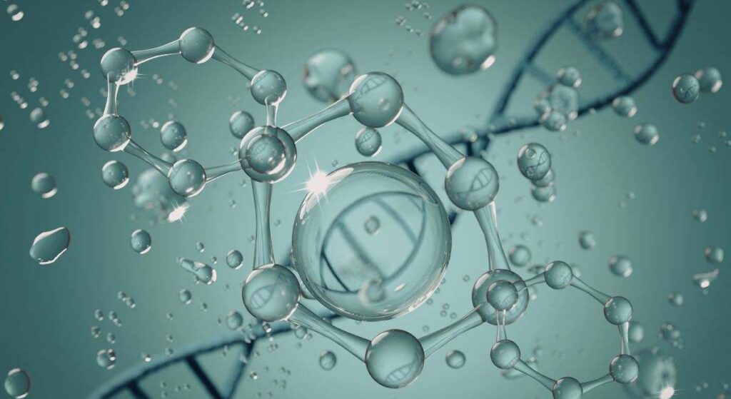 Un avance científico permite entender cómo se organizan las microgotas que ayudan a reparar el ADN