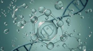 Un avance científico permite entender cómo se organizan las microgotas que ayudan a reparar el ADN