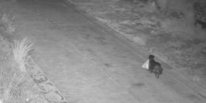 Un hombre adiestra a su perro para tirar la basura de forma ilegal y evitar las multas