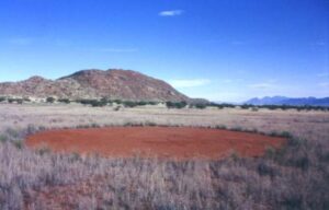 ¿Existen “círculos fantasma” más allá de Namibia?
