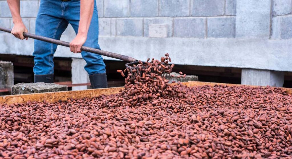 ¿Hay que invertir en desayunos? El cacao, el café y el azúcar repuntarán tras la caída