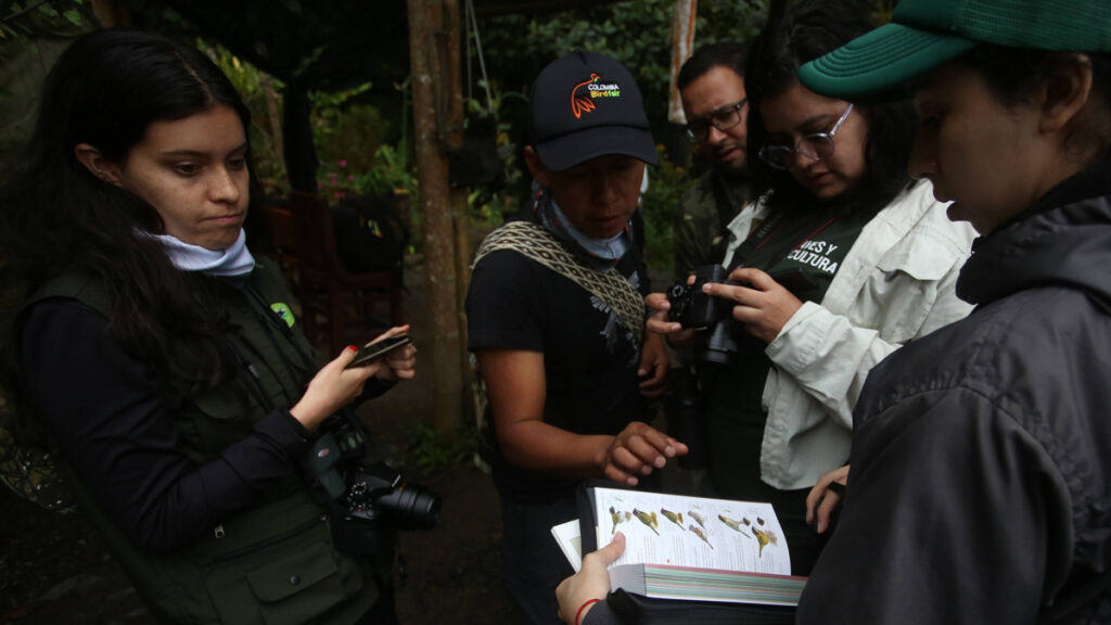 ¿Le apasiona el aviturismo? Programe su visita a Cali para el Colombia Birdfair, una iniciativa de conservación con foco en la infancia y la juventud