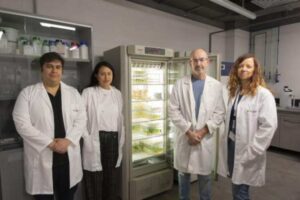 Bioestimulante para proteger de condiciones adversas a los cultivos y mejorar las cosechas