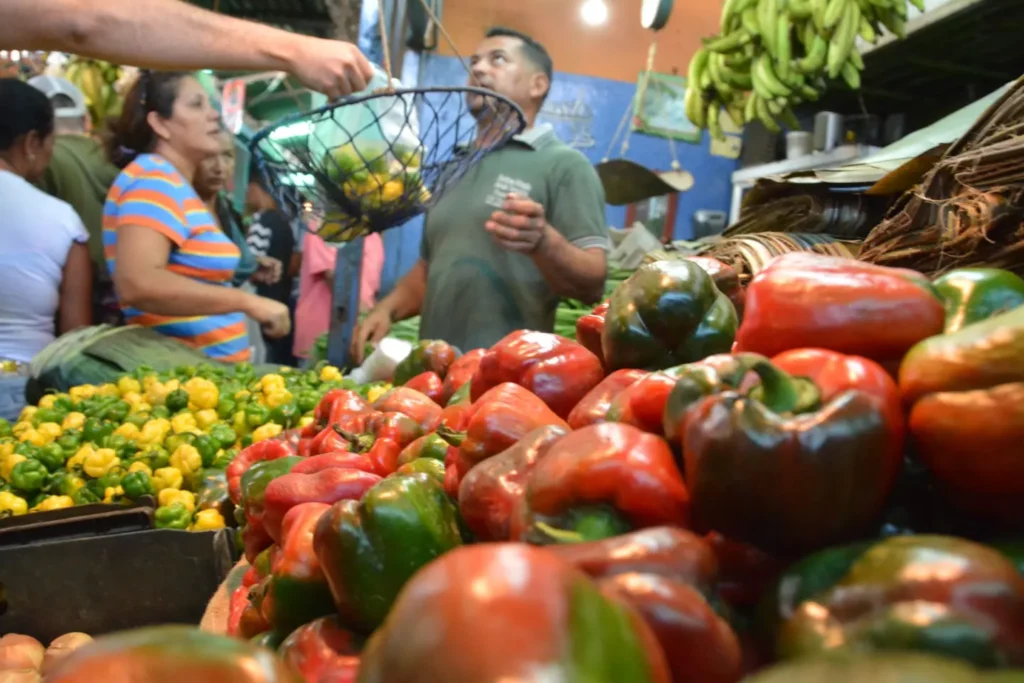 Canasta de supervivencia en Venezuela alcanza los 80 dólares
