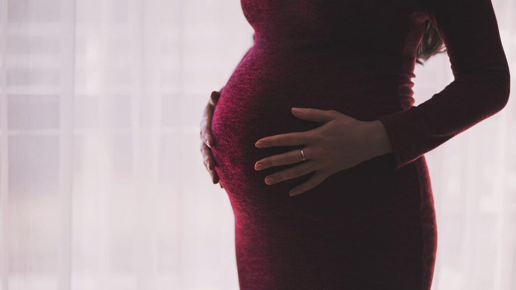 Consumir alimentos ultraprocesados afecta a la fertilidad humana y al desarrollo del feto - AlbertoNews