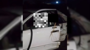 Cuatro fallecidos tras vuelco de un expreso en la ARC