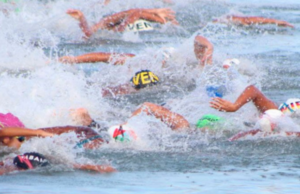 De las aguas abiertas al tatami: Atletas venezolanos brillaron en podios internacionales