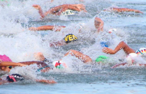 De las aguas abiertas al tatami: Atletas venezolanos brillaron en podios internacionales
