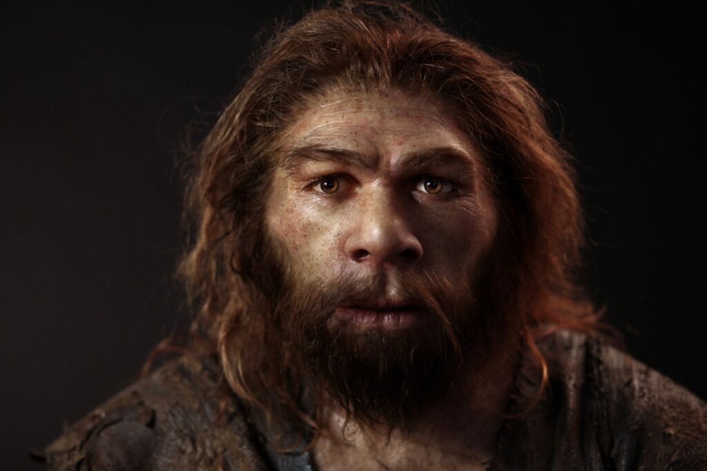 El patrón del ADN humano que revela el vínculo reproductivo entre neandertales y mujeres Homo sapiens | National Geographic