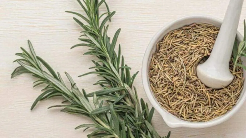 Hierbas aromáticas que sanan la tierra y la salud