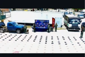 Incautan 446 panelas de marihuana en Falcón