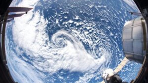 La peor extinción de la historia de la Tierra no convirtió el océano en un páramo vacío como creíamos. Un nuevo estudio muestra que, incluso tras perder al 90% de las especies, la vida marina conservó suficientes piezas como para empezar de nuevo