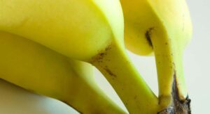 Los fruteros sugieren elegir siempre los plátanos con el tallo más alargado, puesto que es un indicador de un sabor dulce y en su punto