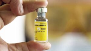 Ministerio de Salud declara alerta en cuatro estados ante posibles brotes de fiebre amarilla