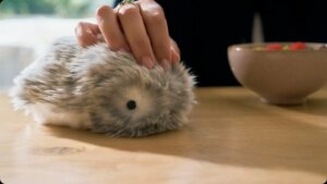 Moflin, la mascota con IA de Casio, ya se puede comprar fuera de Japón y viene con esperanza de vida