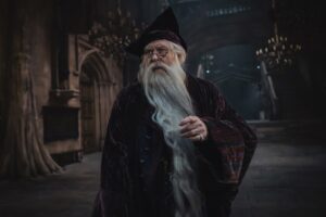 Ni toda la magia de Hogwarts evitará que Harry Potter se libre del gran mal de las series en el último lustro