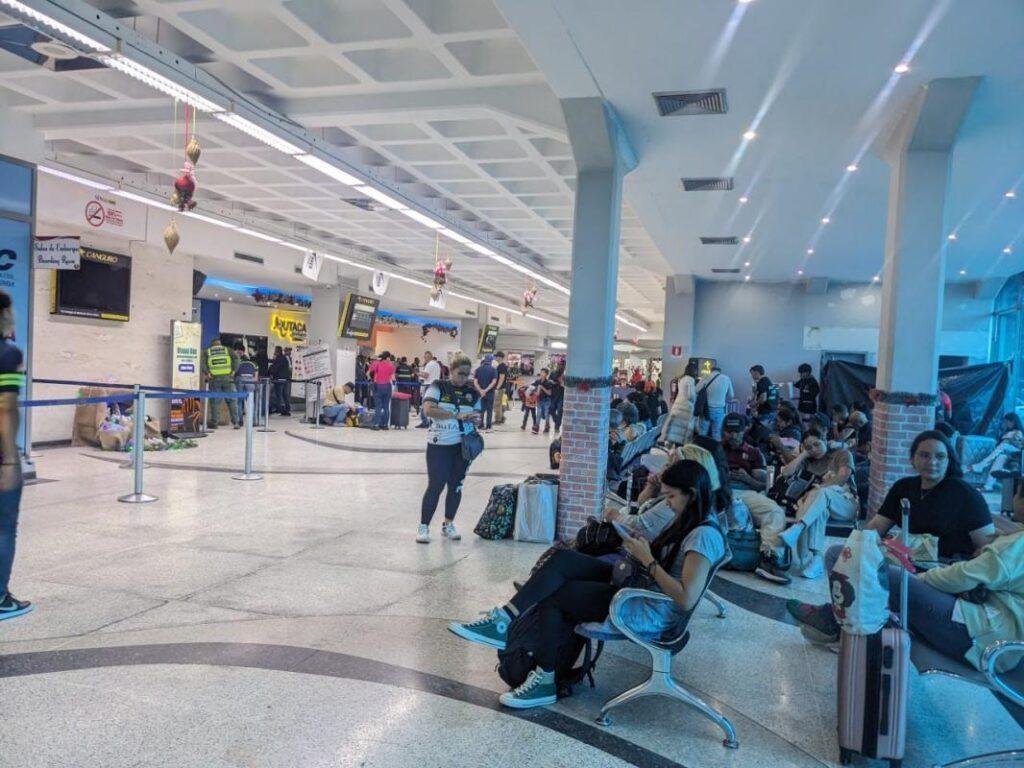 Piden habilitar oficina del INSAI en el aeropuerto de frontera que guíe al viajero con mascota
