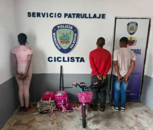 Policía Municipal de Valencia desarticuló grupo delictiv