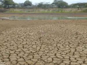 Pozos artesanales para calmar la sed: crisis por agua alcanza punto crítico en la Guajira
