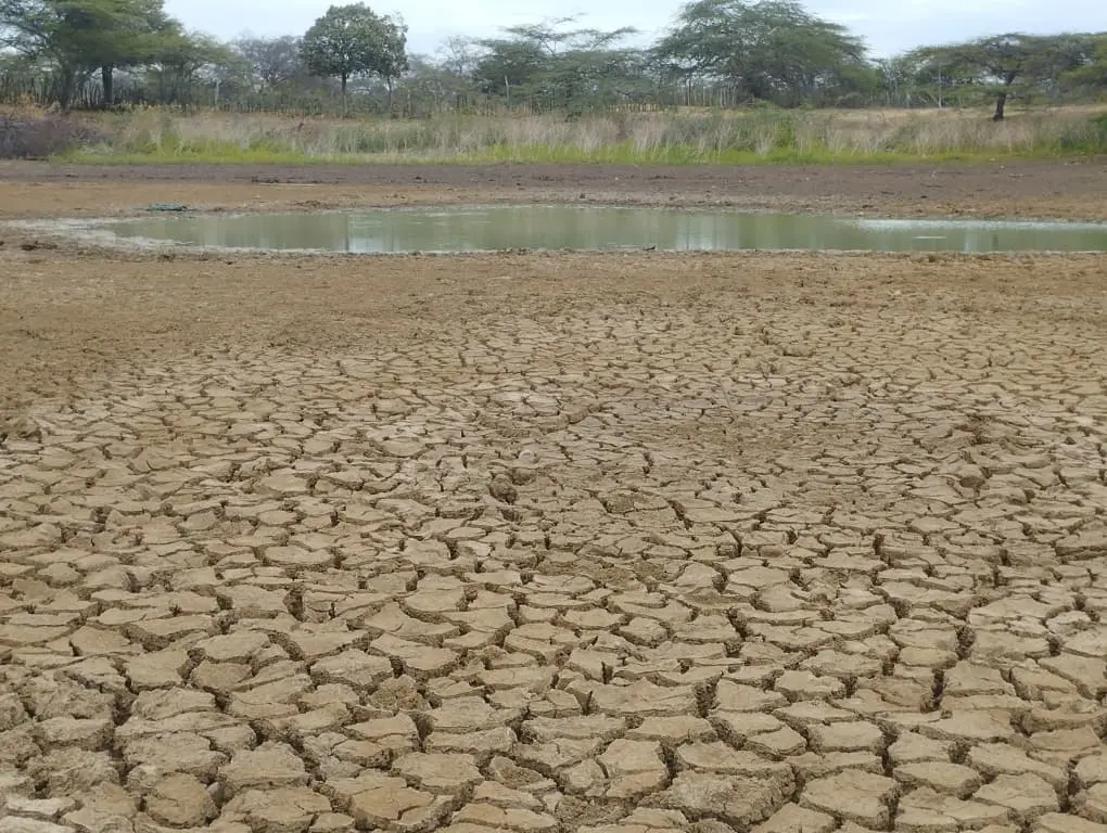 Pozos artesanales para calmar la sed: crisis por agua alcanza punto crítico en la Guajira