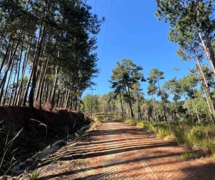 Restablecen acceso hacia el Parque Cerro El Café