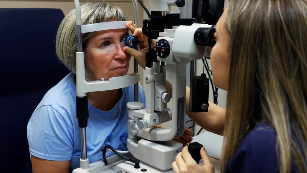 Siete nutrientes clave para mantener buena visión