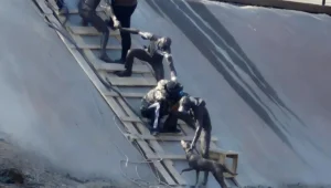 VIDEO: inmortalizan en una escultura “el heroico rescate” a un perro que se volvió viral