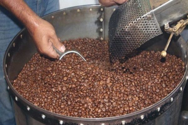 Venezuela ha exportado cuatro mil toneladas de café verde en el primer trimestre de 2026