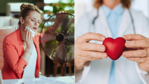 cambios hormonales influyen en la salud cardiovascular