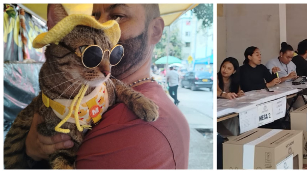 desde el 'agosto' de taxistas y vendedores ambulantes, hasta 'pasarelas' de mascotas