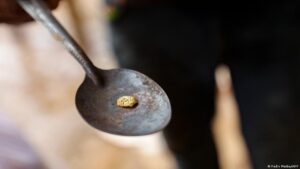 el patrón de supervivencia del postmadurismo