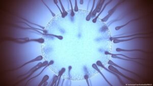 eyacular regularmente mejora la calidad del esperma