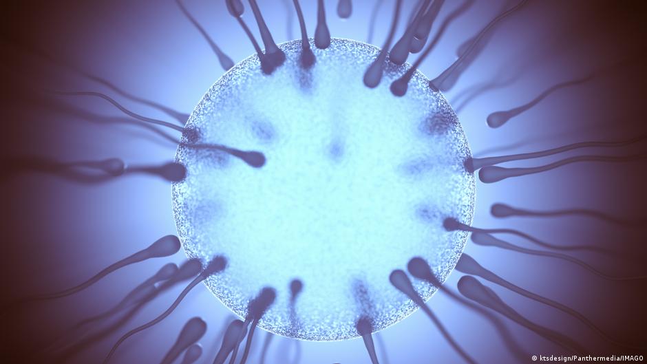 eyacular regularmente mejora la calidad del esperma