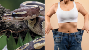 investigadores descubren un metabolito que regula el apetito